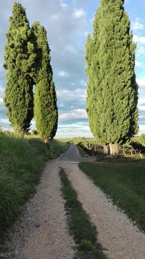 B&B Da Miriam Castelnuovo del Garda Zewnętrze zdjęcie