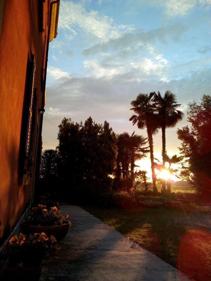 B&B Da Miriam Castelnuovo del Garda Zewnętrze zdjęcie